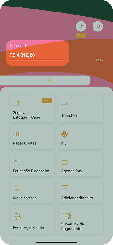 Passo 2: Confira o saldo de R$ 13,90